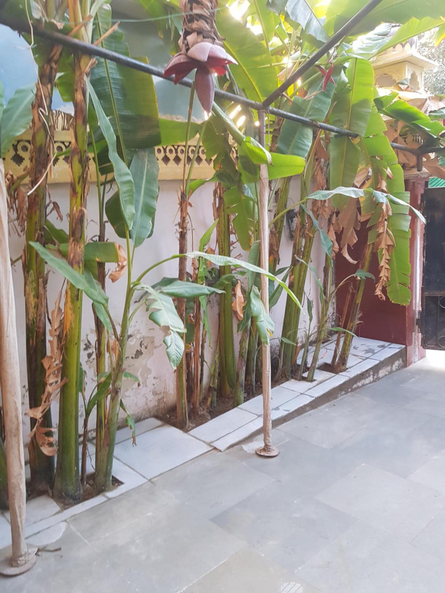 Apartmán Sureli Haveli Džajpur Pokoj fotografie