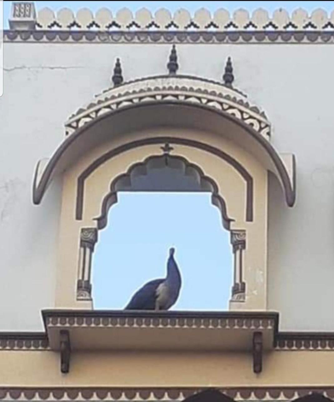 Apartmán Sureli Haveli Džajpur Exteriér fotografie